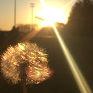 Meet your Posher, Abi